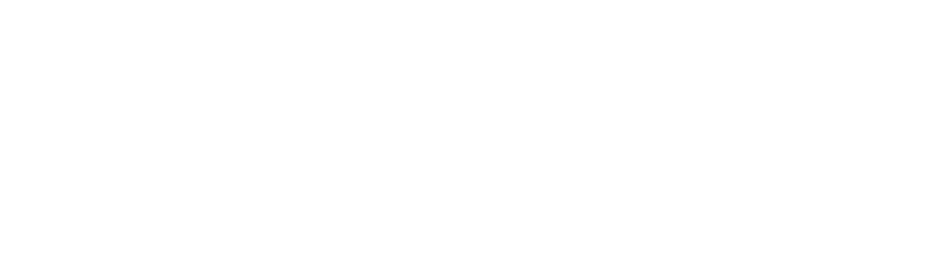 Lumusoft referances - bccgroup