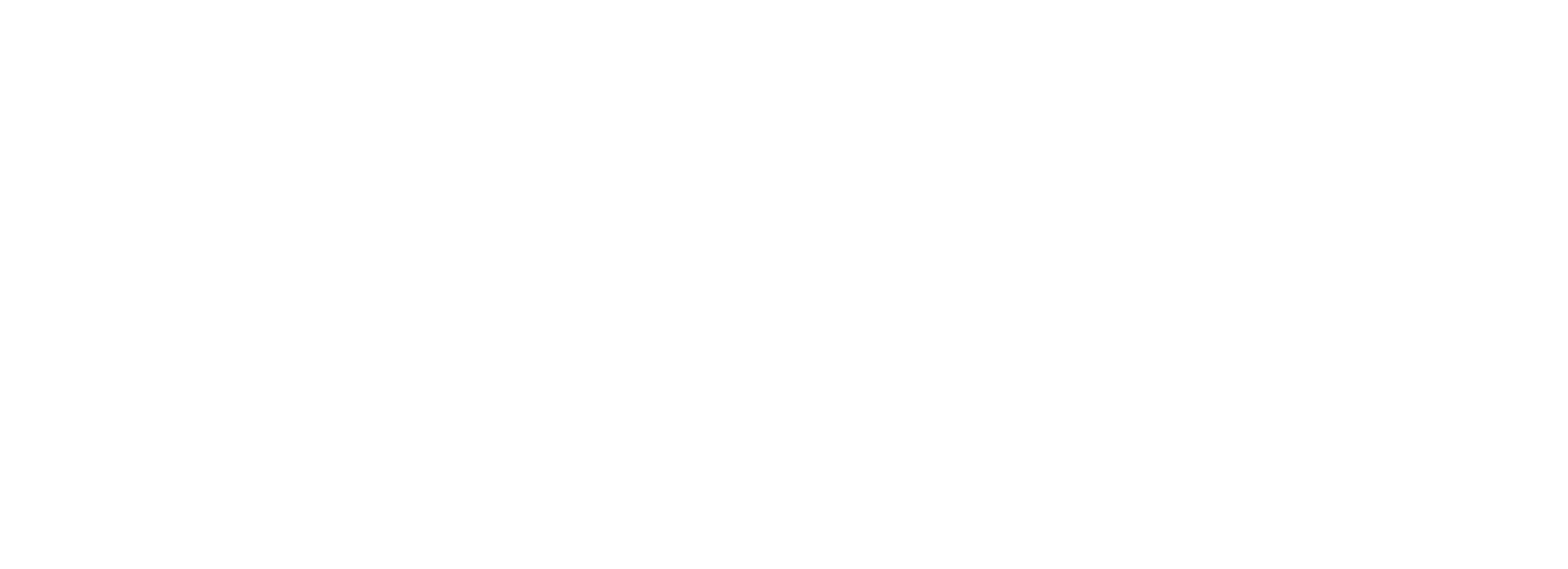 Lumusoft referances - haima